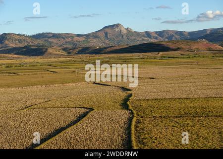 Una risaia in Madagascar, vicino a Fianarantsoa, una tipica vista degli altipiani centrali (Hauts-Plateaux). Il Madagascar è una popolare destinazione di viaggio. Foto Stock