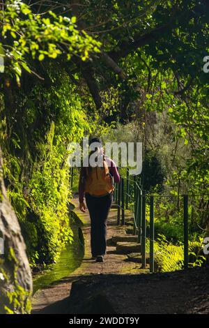 Turista a Levada do Norte sull'isola portoghese di Madeira. Canale di irrigazione di Levada. Escursioni a Madeira. Sentiero stretto vicino alla levada. Verde Foto Stock