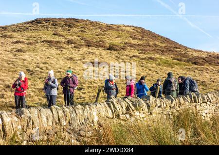 Membri del gruppo a piedi Sandbach U3A Long che si divertono a vagare nelle colline del Peak District sopra la città del Derbyshire, Hayfield, Inghilterra, su Kinder Low Foto Stock