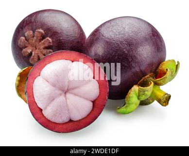 Frutti di mangostano e fetta trasversale di mangostano isolati su sfondo bianco. Il file contiene il percorso di ritaglio. Foto Stock