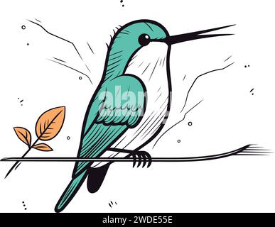 Hummingbird seduto su un ramo. Illustrazione vettoriale disegnata a mano. Illustrazione Vettoriale