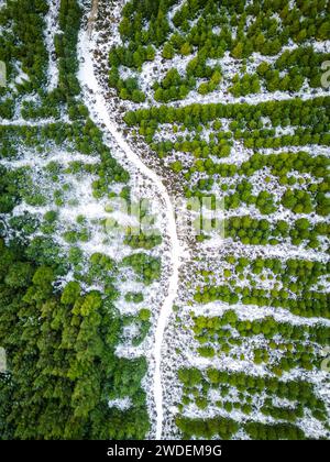 Spolveramento di neve a Sally Gap Foto Stock