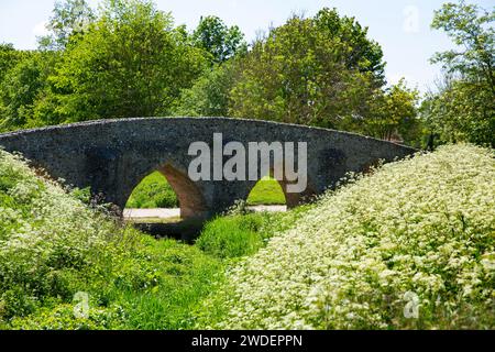 Lo storico Packhorse Bridge del XV secolo con i suoi quattro archi sul fiume Kennett nel villaggio di Moulton, Suffolk Foto Stock