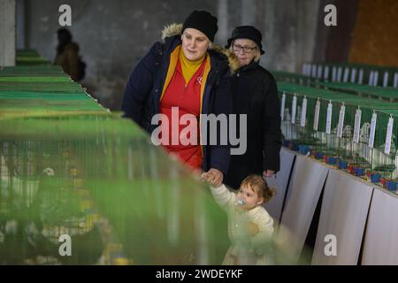 Zabok, Croazia. 20 gennaio 2024. L'Associazione degli allevatori di piccoli animali 'Zabok 2000' ha organizzato la mostra statale delle razze originali croate e la 17a mostra intercontigua di piccoli animali nell'area del Parco cittadino di Zabok. I visitatori della mostra hanno potuto vedere circa cinquecento piccoli animali: Piccioni, pollame, conigli e uccelli, a Zagabria, Croazia, il 20 gennaio 2024. Foto: Davor Puklavec/PIXSELL credito: Pixsell/Alamy Live News Foto Stock