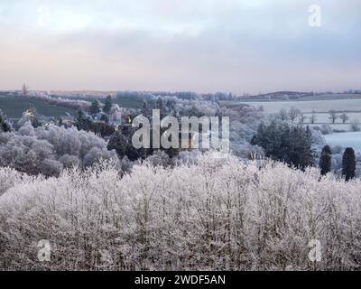 Brina di Hoare su boschi vicino a Blair Atholl, Pershire, Scozia, Regno Unito. Foto Stock