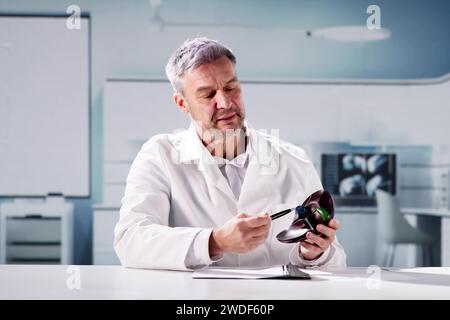 Trattamento della malattia da cancro renale. Urologo Dottore che spiega Foto Stock