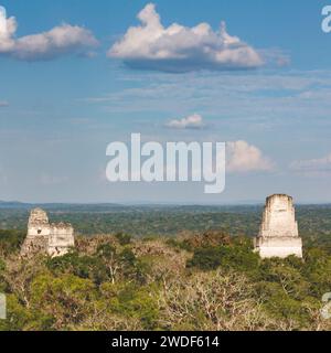 Templi drammatici di Tikal (anche come visto in Star Wars - Una nuova speranza) Foto Stock