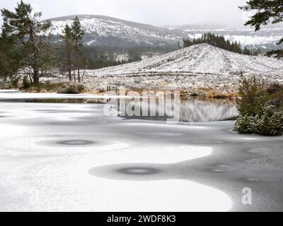 Un lochan congelato a Rothiemurchus, parte dell'antica foresta di pini di Caledonian a Cairngorms, Scozia, Regno Unito Foto Stock