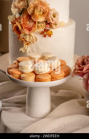 Saporiti macaron dolci. Biscotti a base di sandwich color pastello Foto Stock