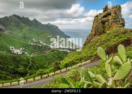 Verde paesaggio vulcanico con cactus lungo la curva strada di montagna a Tenerife Foto Stock