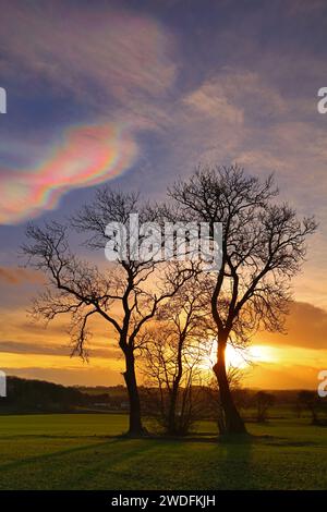 Immagine del paesaggio con rare nuvole Nacree al tramonto vicino a Ferryhill, contea di Durham, Inghilterra, Regno Unito. Foto Stock