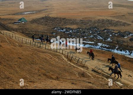 20 gennaio 2024, Srinagar Kashmir, India: Le guide guidano i visitatori durante un giro a cavallo passando per le piste da sci di Gulmarg, a circa 55 km da Srinagar. Il prolungato periodo di secchezza di quest'inverno nella valle del Kashmir ha inferto un duro colpo alla famosa stazione sciistica di Gulmarg. Le piste da sci, un tempo trafficate, sono ormai senza neve e sono motivo di delusione per i turisti e in particolare per gli appassionati di sci. L'assenza di nevicate stagionali ha comportato la cancellazione delle prenotazioni di massa per i proprietari di hotel, con un grave impatto sulle loro attività. Questa battuta d’arresto imprevista sottolinea la vulnerabilità delle economie dipendenti dall’inverno Foto Stock