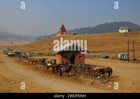 Srinagar Kashmir, India. 20 gennaio 2024. I cavalli si vedono a Gulmarg, a circa 55 km da Srinagar. Il prolungato periodo di secchezza di quest'inverno nella valle del Kashmir ha inferto un duro colpo alla famosa stazione sciistica di Gulmarg. Le piste da sci, un tempo trafficate, sono ormai senza neve e sono motivo di delusione per i turisti e in particolare per gli appassionati di sci. L'assenza di nevicate stagionali ha comportato la cancellazione delle prenotazioni di massa per i proprietari di hotel, con un grave impatto sulle loro attività. Questa battuta d’arresto imprevista sottolinea la vulnerabilità delle economie dipendenti dall’inverno e l’urgente necessità di strategie per miti Foto Stock