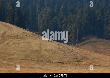 20 gennaio 2024, Srinagar Kashmir, India: La gente riposa sulle piste da sci di Gulmarg, a circa 55 km da Srinagar. Il prolungato periodo di secchezza di quest'inverno nella valle del Kashmir ha inferto un duro colpo alla famosa stazione sciistica di Gulmarg. Le piste da sci, un tempo trafficate, sono ormai senza neve e sono motivo di delusione per i turisti e in particolare per gli appassionati di sci. L'assenza di nevicate stagionali ha comportato la cancellazione delle prenotazioni di massa per i proprietari di hotel, con un grave impatto sulle loro attività. Questa battuta d’arresto imprevista sottolinea la vulnerabilità delle economie dipendenti dall’inverno e l’urgente necessità di strategie Foto Stock