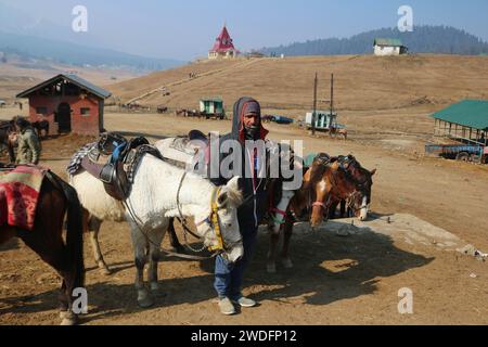 Srinagar Kashmir, India. 20 gennaio 2024. Ashiq Hussain, una guida si trova con i suoi cavalli a Gulmarg, a circa 55 km da Srinagar. Il prolungato periodo di secchezza di quest'inverno nella valle del Kashmir ha inferto un duro colpo alla famosa stazione sciistica di Gulmarg. Le piste da sci, un tempo trafficate, sono ormai senza neve e sono motivo di delusione per i turisti e in particolare per gli appassionati di sci. L'assenza di nevicate stagionali ha comportato la cancellazione delle prenotazioni di massa per i proprietari di hotel, con un grave impatto sulle loro attività. Questa battuta d'arresto imprevista sottolinea la vulnerabilità delle economie dipendenti dall'inverno e la necessità Foto Stock