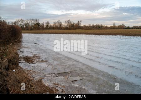 Datchet, Regno Unito. 20 gennaio 2024. A seguito delle inondazioni del Tamigi la scorsa settimana, quando era in atto un'allerta, l'acqua inondata del Tamigi si è congelata nei campi agricoli di Datchet, nel Berkshire. Il prezzo delle verdure dovrebbe aumentare a seguito delle recenti inondazioni e del continuo freddo. Credito: Maureen McLean/Alamy Live News Foto Stock