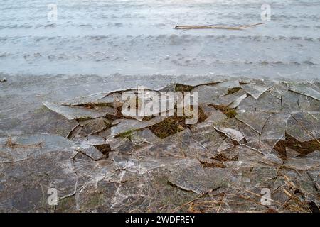 Datchet, Regno Unito. 20 gennaio 2024. A seguito delle inondazioni del Tamigi la scorsa settimana, quando era in atto un'allerta, l'acqua inondata del Tamigi si è congelata nei campi agricoli di Datchet, nel Berkshire. Il prezzo delle verdure dovrebbe aumentare a seguito delle recenti inondazioni e del continuo freddo. Credito: Maureen McLean/Alamy Live News Foto Stock