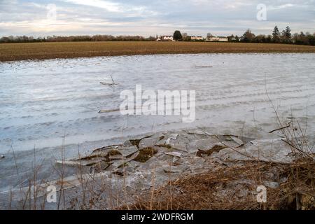 Datchet, Regno Unito. 20 gennaio 2024. A seguito delle inondazioni del Tamigi la scorsa settimana, quando era in atto un'allerta, l'acqua inondata del Tamigi si è congelata nei campi agricoli di Datchet, nel Berkshire. Il prezzo delle verdure dovrebbe aumentare a seguito delle recenti inondazioni e del continuo freddo. Credito: Maureen McLean/Alamy Live News Foto Stock