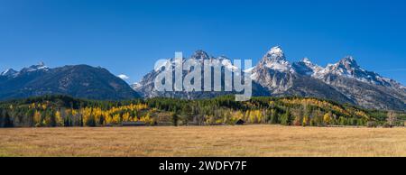 La catena montuosa di Grand Tetons con colori autunnali nel Grand Tetons National Park, Wyoming, Stati Uniti. Foto Stock