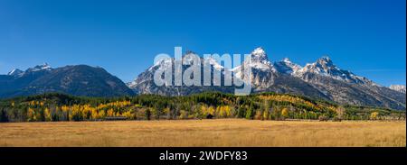 La catena montuosa di Grand Tetons con colori autunnali nel Grand Tetons National Park, Wyoming, Stati Uniti. Foto Stock