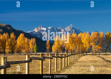 La catena montuosa di Grand Tetons con colori autunnali nel Grand Tetons National Park, Wyoming, Stati Uniti. Foto Stock