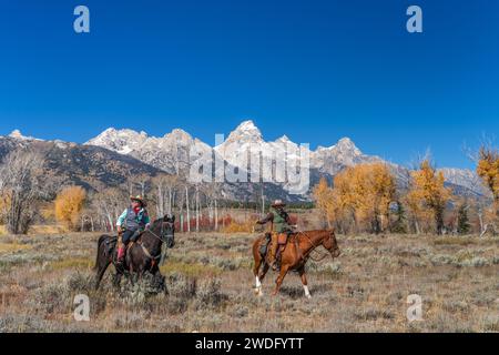 Cowgirl e i loro cavalli sullo sfondo dei Grand Tetons nel Grand Tetons National Park, Wyoming, USA. Foto Stock
