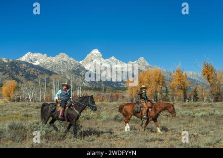 Cowgirl e i loro cavalli sullo sfondo dei Grand Tetons nel Grand Tetons National Park, Wyoming, USA. Foto Stock