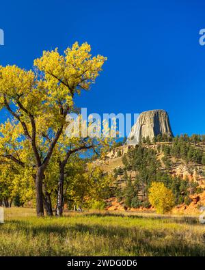 Monumento nazionale della Devils Tower con colori autunnali, vicino a Sundance, Wyoming, Stati Uniti. Foto Stock