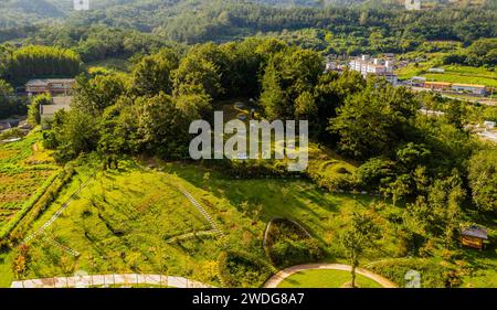 Paesaggio aereo di un piccolo cimitero in collina nel parco urbano Hampyeong-gun, Corea del Sud Foto Stock