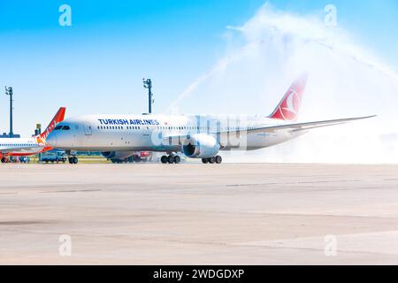 Boryspil, Ucraina - 1 luglio 2020: L'aereo Boeing 787 Dreamliner (TC-LLK) della Turkish Airlines ruba all'aeroporto di Boryspil Foto Stock