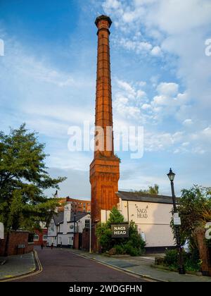 Border Breweries Chimney (ex Soames Brewery Chimney) e Nag's Head Pub, Tuttle Street, Wrexham, Wrexham County Borough, Galles, REGNO UNITO Foto Stock