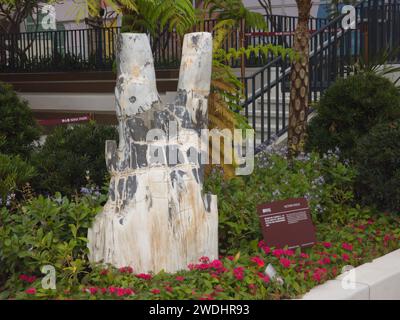 Hong Kong, Cina - 11 gennaio 2024: Decorazione in legno 'Victory Rock' al Nina Park a Tsuen Wan, Hong Kong. Foto Stock