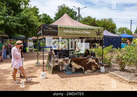 Centro di Mudgee, Australia, Farmers Market a Robertson Park, venditore di prodotti a base di olio di canapa e balsamo della fattoria locale di piante di canapa, New South Wales, 2024 Foto Stock