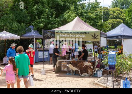 Centro di Mudgee, Australia, Farmers Market a Robertson Park, venditore di prodotti a base di olio di canapa e balsamo della fattoria locale di piante di canapa, New South Wales, 2024 Foto Stock