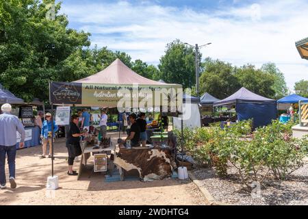 Centro di Mudgee, Australia, Farmers Market a Robertson Park, venditore di prodotti a base di olio di canapa e balsamo della fattoria locale di piante di canapa, New South Wales, 2024 Foto Stock