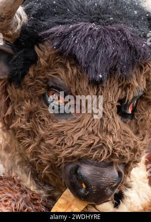 Primo piano degli occhi dei partecipanti, visto attraverso l'apertura di una maschera di bisonte di bufalo al Surva International Masquerade and Mummers Festival di Pernik, Bulgaria, Europa orientale, Balcani, UE. maschera bull, maschera bisonte, maschera animale, mascherina, festival kukeri, mummers festival, kuker, mummer, festival, Bulgaria, International, Surva festival, Europa orientale, Balcani, Pernik festival, partecipante, maschere, costumi animali, costume animale, primo piano, primo piano, Foto Stock