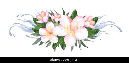 Composizione di fiori di plumeria. Frangipani e foglie di palma isolati su sfondo bianco. Illustrazione botanica acquerello per cosmetici e profumi Foto Stock