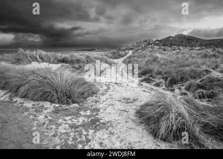 Bellissimo e insolito paesaggio lungoso invernale di neve sulla spiaggia di Embleton Bay nel Northumberland, Inghilterra Foto Stock