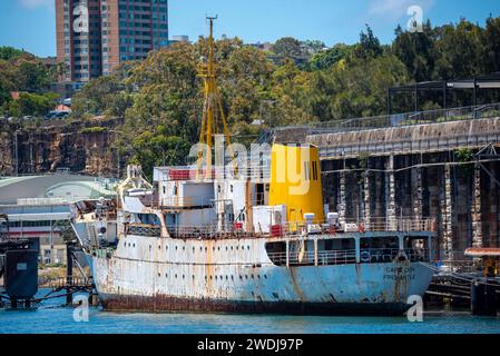 La storica costiera australiana freighter nave MV Cape Don ormeggiato a sfere testa nel Sydney Harbour mentre è in fase di ripristino da parte di volontari locali. Foto Stock