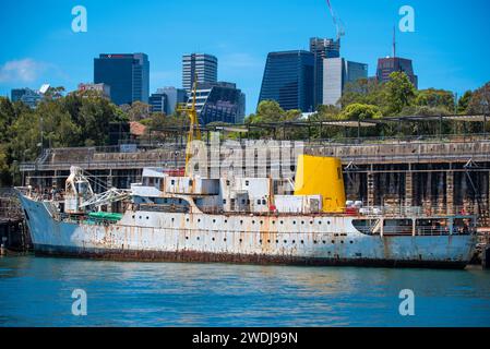 La storica costiera australiana freighter nave MV Cape Don ormeggiato a sfere testa nel Sydney Harbour mentre è in fase di ripristino da parte di volontari locali. Foto Stock