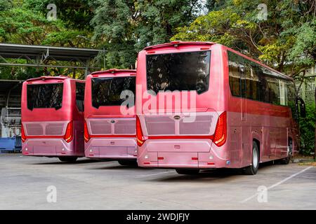 Autobus turistici rossi nel parcheggio, vista posteriore sullo sfondo di un parco cittadino sulla destinazione finale del percorso. Foto Stock