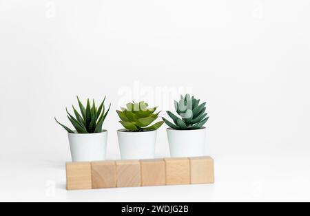 cubi di legno con piante verdi su sfondo bianco da vicino Foto Stock