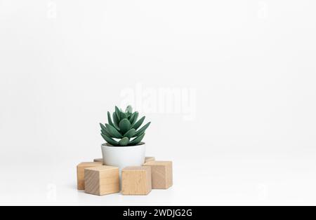 cubi di legno con piante verdi su sfondo bianco da vicino Foto Stock