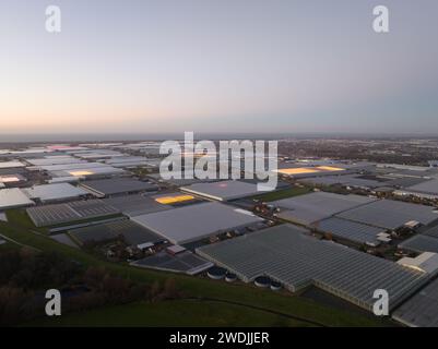 Serre nei Paesi Bassi al tramonto. Produzione di alimenti e verdure. Foto Stock