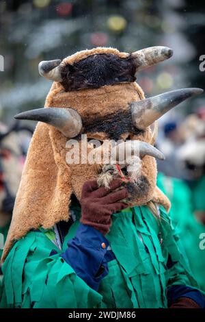 Breznik, Bulgaria - 20 gennaio 2024: Masquerade festival a Breznik Bulgaria. Le persone con una maschera chiamata Kukeri ballano e si esibiscono per spaventare il malvagio sp Foto Stock