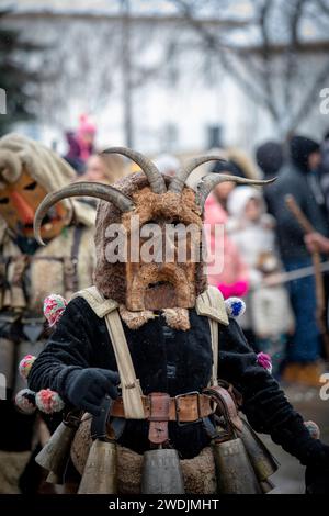 Breznik, Bulgaria - 20 gennaio 2024: Masquerade festival a Breznik Bulgaria. Le persone con una maschera chiamata Kukeri ballano e si esibiscono per spaventare il malvagio sp Foto Stock