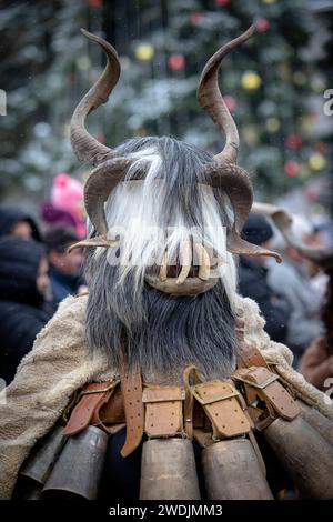 Breznik, Bulgaria - 20 gennaio 2024: Masquerade festival a Breznik Bulgaria. Le persone con una maschera chiamata Kukeri ballano e si esibiscono per spaventare il malvagio sp Foto Stock