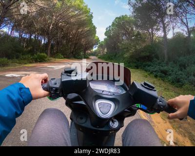 Vista in prima persona di un uomo su uno scooter che corre su una strada tortuosa circondata da pini Foto Stock