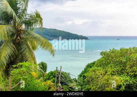 Palme e acque turchesi nella spiaggia di Anse a la Moche. Isola di Mahe, Seychelles Foto Stock