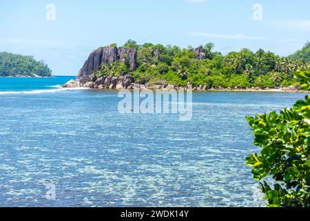 Barriera corallina ad Anse l'Islette sull'isola di Mahe, Seychelles Foto Stock